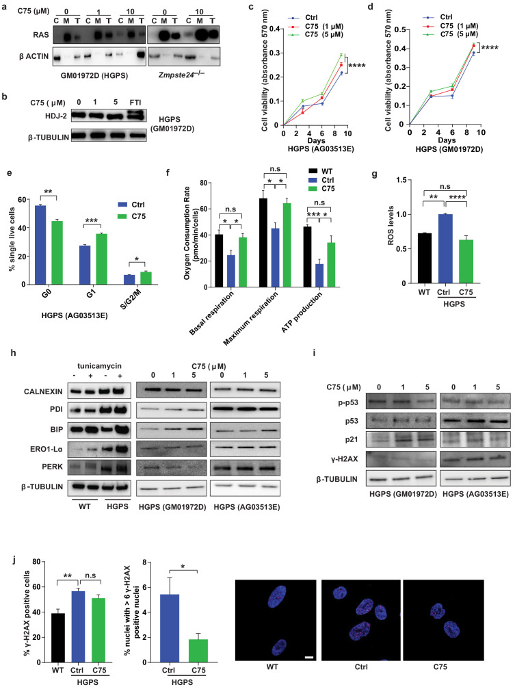 Figure 2—figure supplement 2.