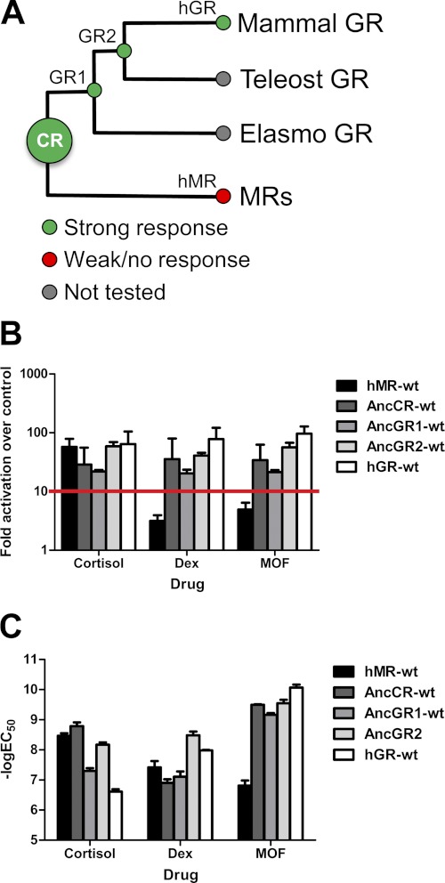 FIGURE 4.