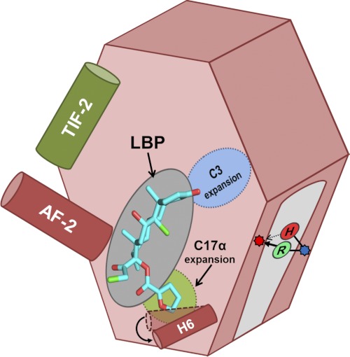 FIGURE 6.