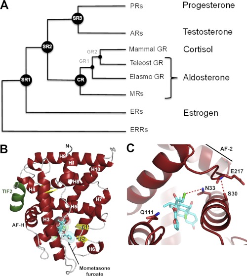 FIGURE 1.