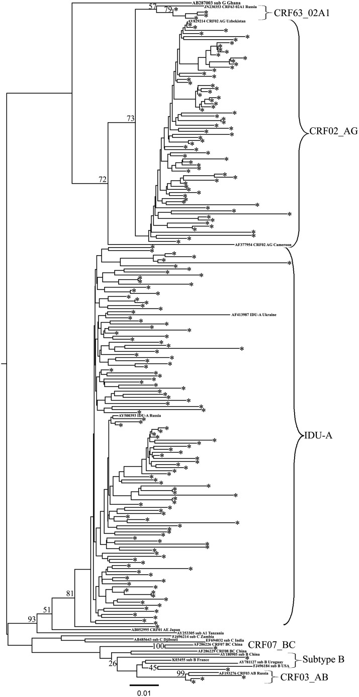 FIG. 2.