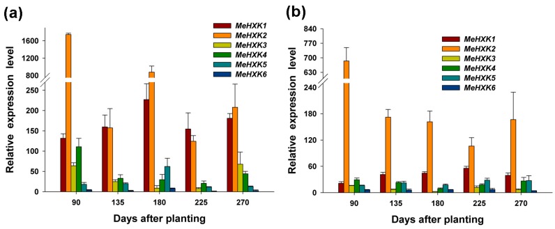 Figure 10