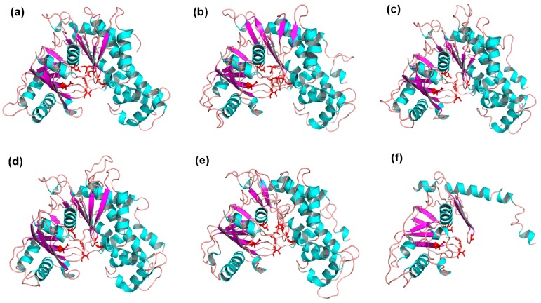 Figure 7