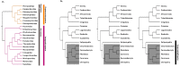 Figure 1 -