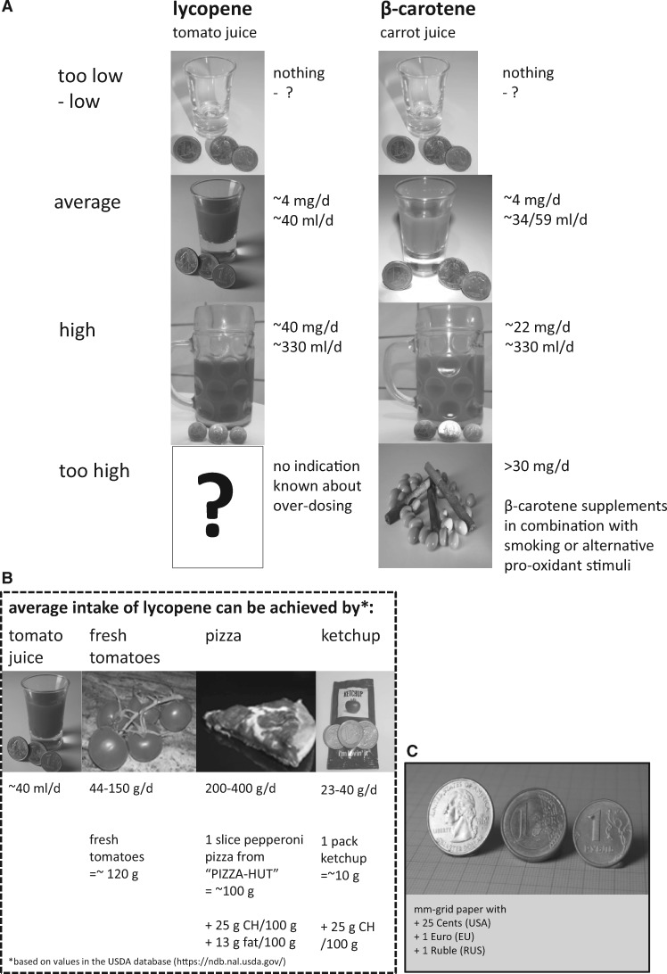 Figure 2