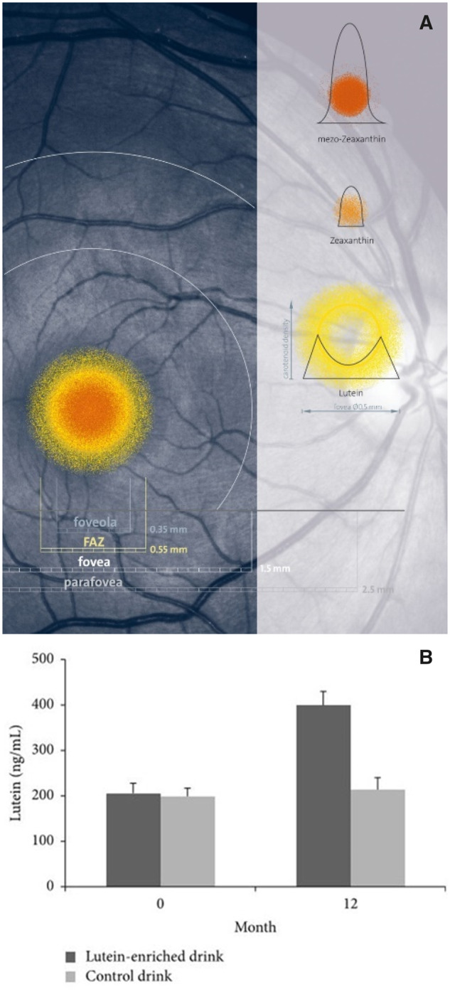 Figure 1