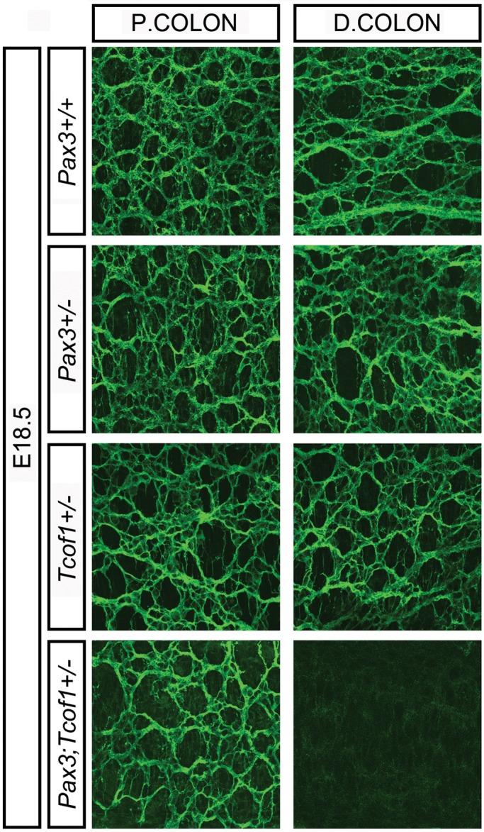 Figure 6.