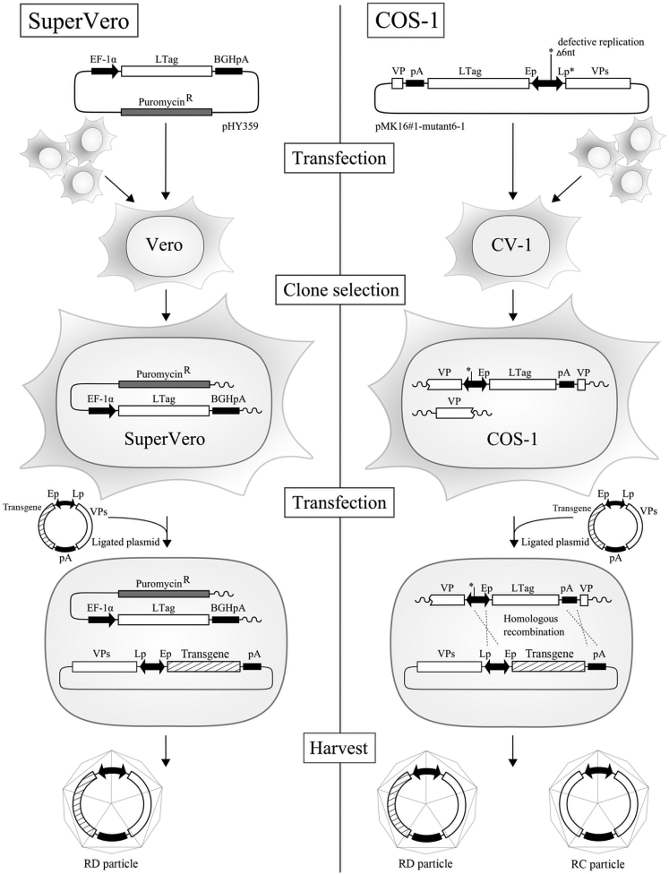 Figure 7