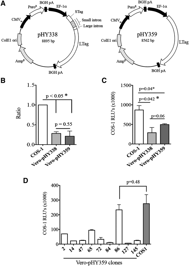 Figure 2