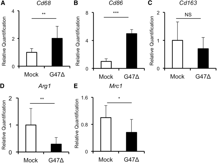 Figure 7