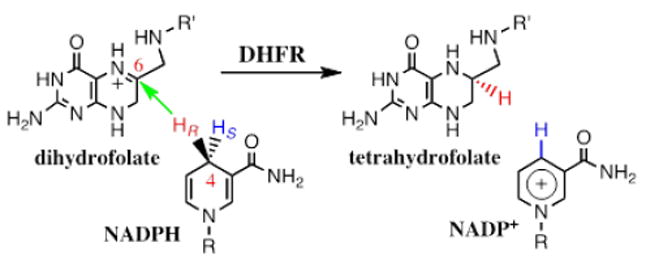 Scheme 4