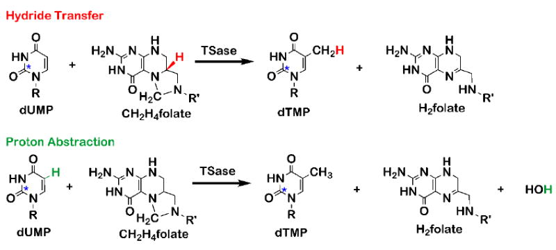 Scheme 2