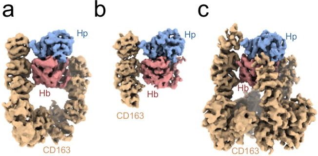 Fig. 2