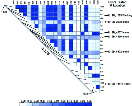 Figure  1