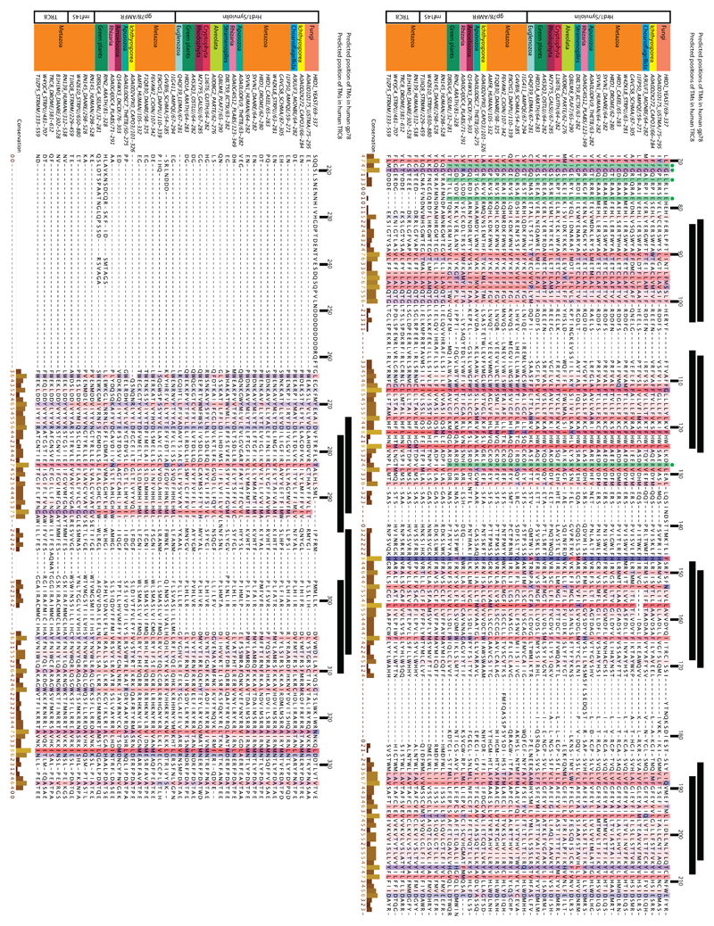 Extended Data Figure 6