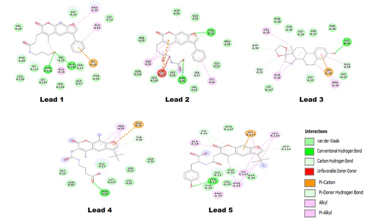 Figure 5.