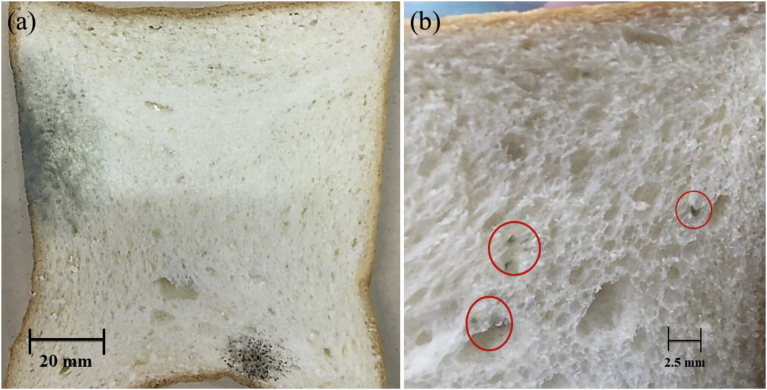 Fig. 11