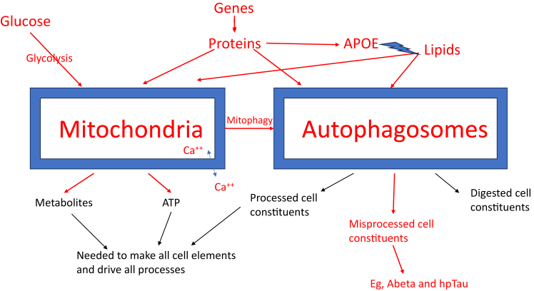 Fig. 1