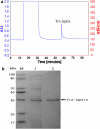 Fig. 3