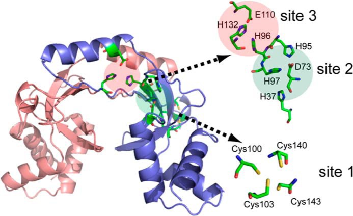 FIGURE 2.