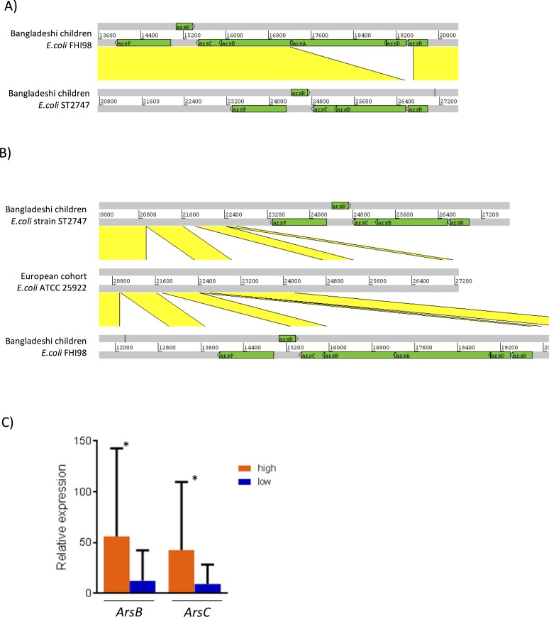 Fig 4