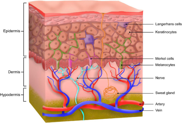 Fig. 2