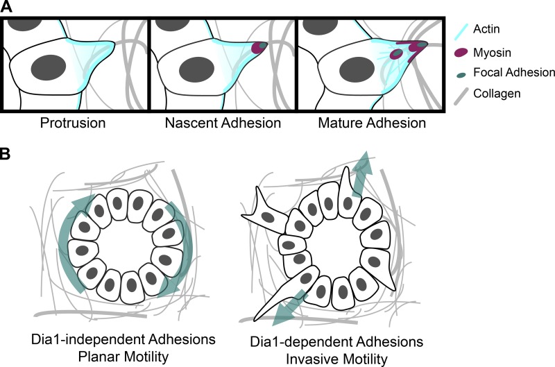 Figure 9.