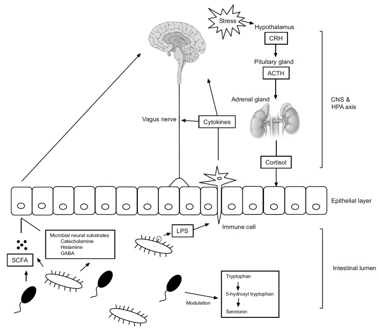 Fig. (1)