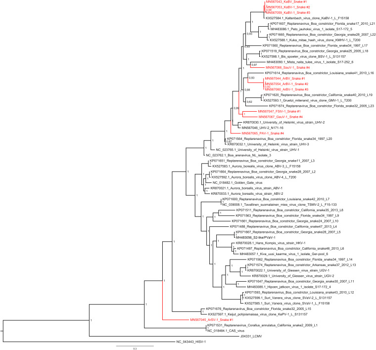 FIG 3