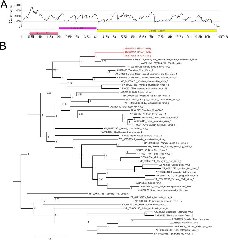 FIG 6