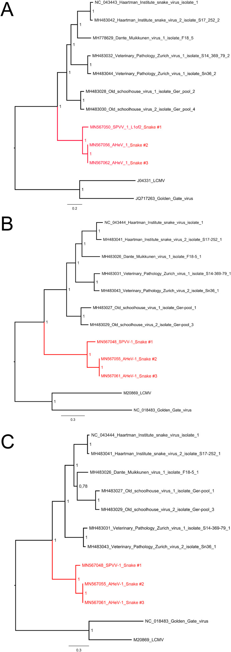 FIG 5