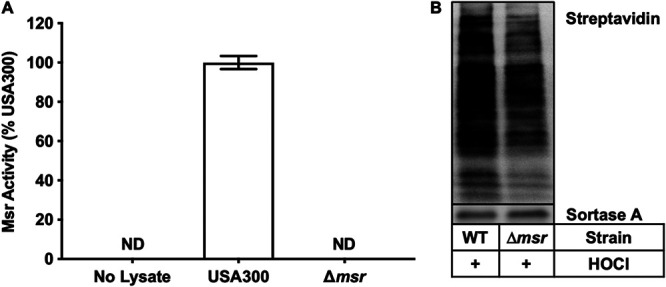 FIG 1