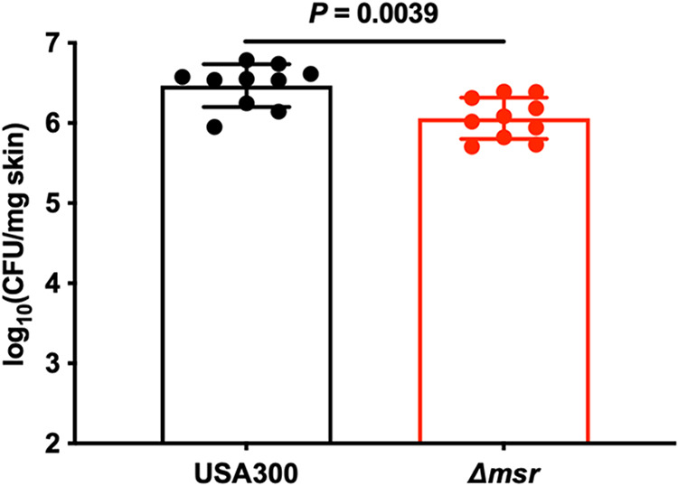 FIG 5