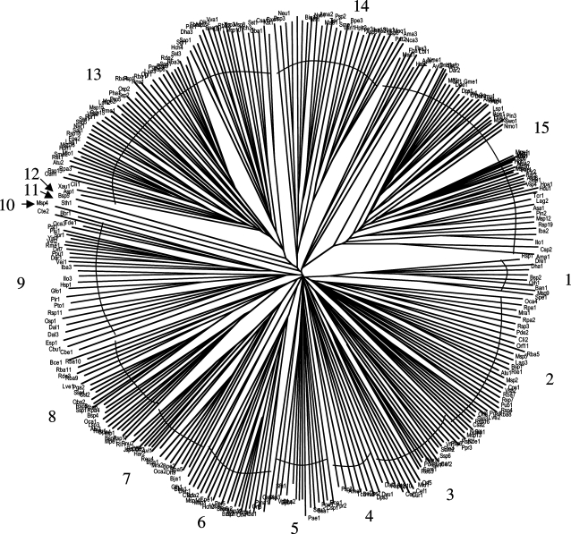 Fig. 1.