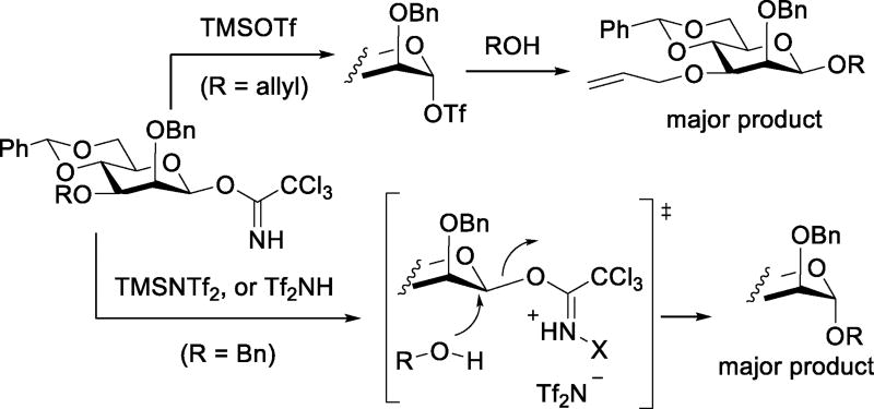 Scheme 22