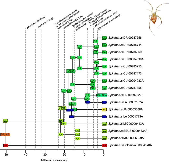 Fig. 13