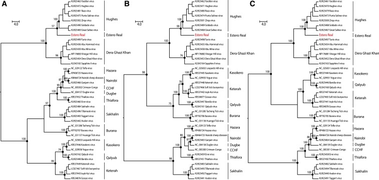 Figure 4.