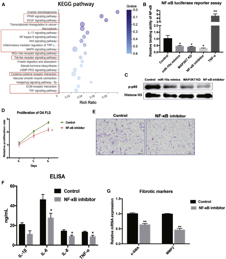 Figure 6