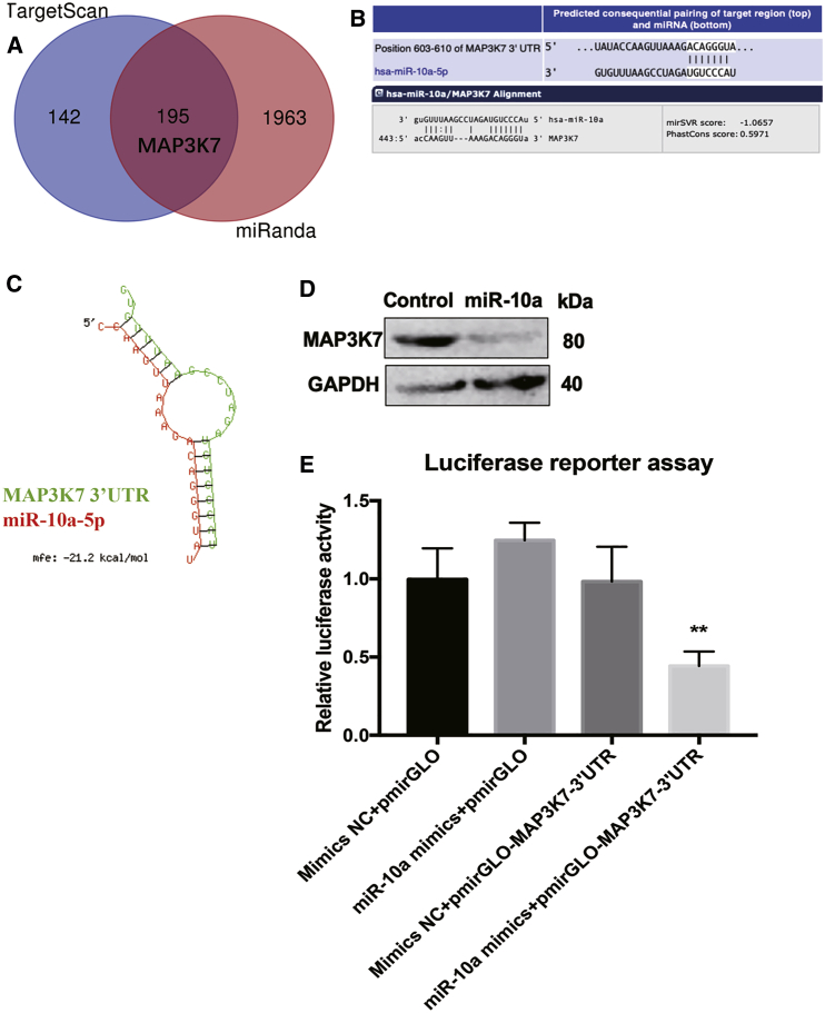 Figure 4