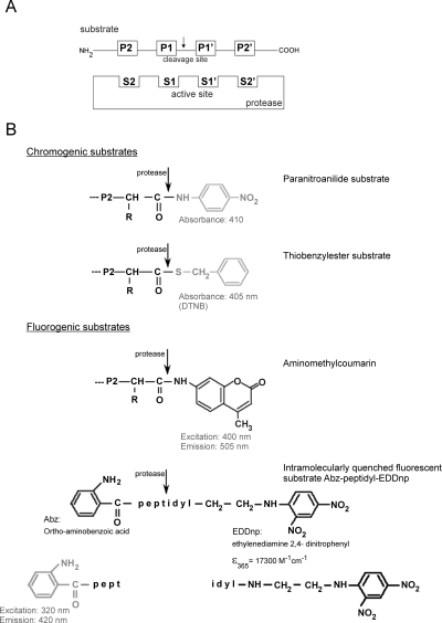 Fig. 4.