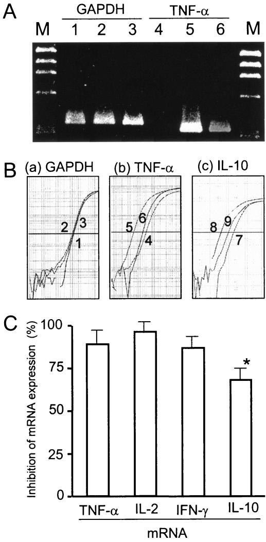 FIG. 5.