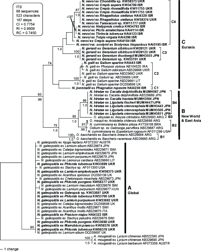 Fig. 1