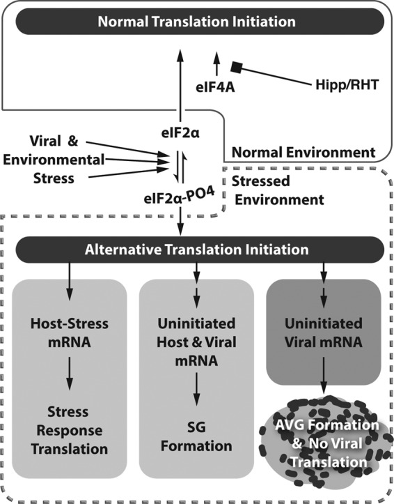 FIG 9