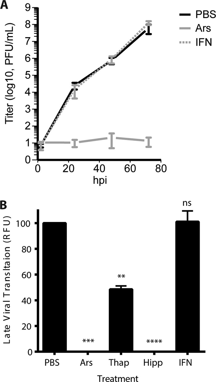 FIG 7