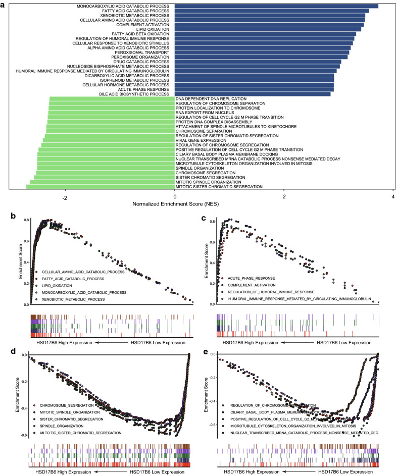 Fig. 10