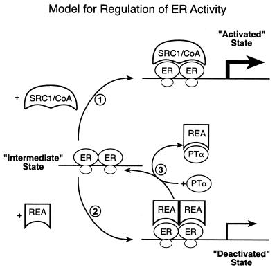 FIG. 11