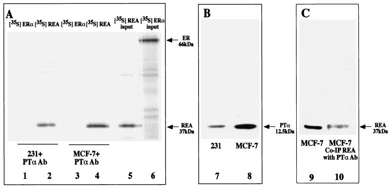 FIG. 7