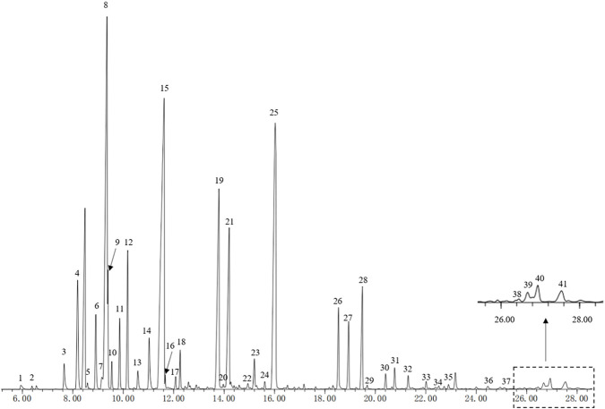 FIGURE 1