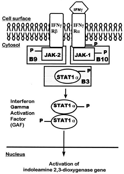 FIG. 5