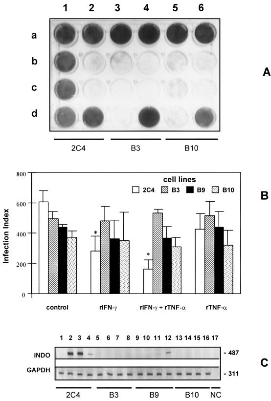 FIG. 6